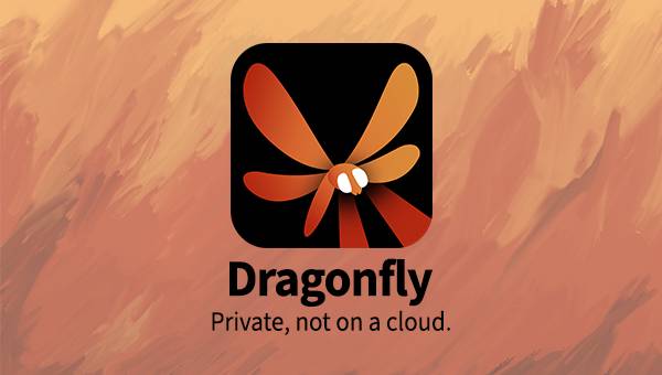 Advertising image highlighting that Dragonfly AI is not run on a cloud.